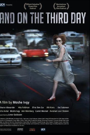 Poster de Filme E no terceiro dia (2010)