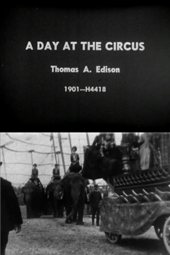 Poster de Curta A Day at the Circus (1901)