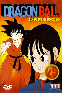 Dragon Ball: Saga do Tenshinhan - Poster / Capa / Cartaz - Oficial 13