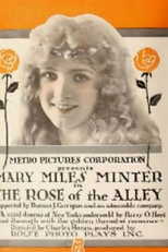 Rose of the Alley (Rose of the Alley)