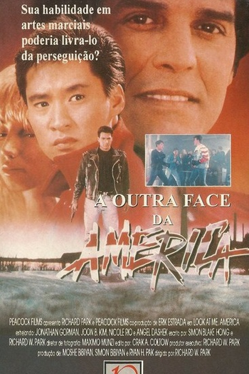 Poster de Filme A Outra Face da América (1991)