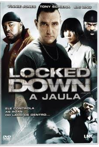 Poster 2 de Filme A Jaula (2010)