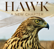 The BBC: Natural World - H is for Hawk: A New Chapter