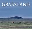 Grassland