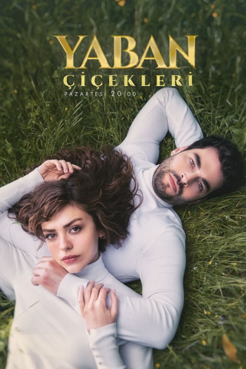 Poster de Franquia Yaban Çiçekleri (2024)