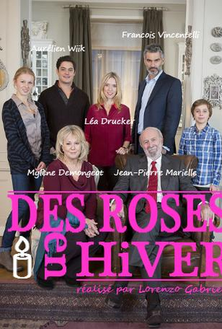 Poster 1 de Filme Rosas de Inverno (2014)