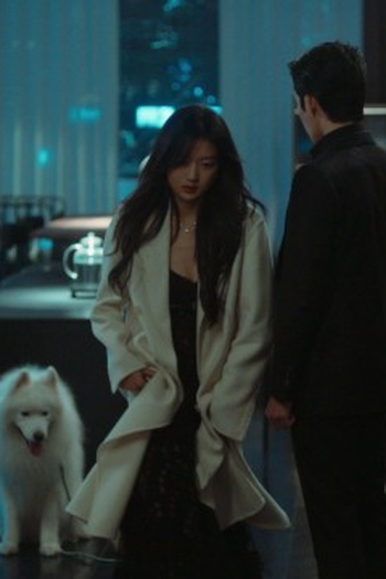 Poster de Episódio 第21集 (2026)