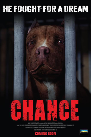 Poster de Filme Chance (2017)