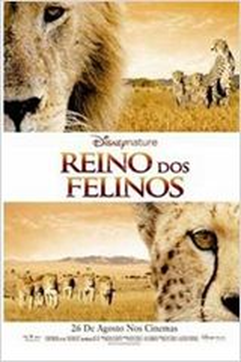 LEONARDO PEREIRA MAIA - Foto 4