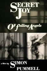 The Secret Joy of Falling Angels (The Secret Joy of Falling Angels)