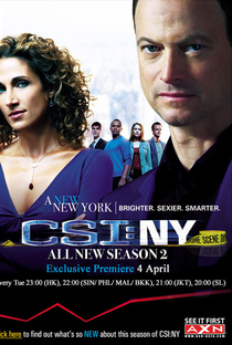 CSI: Nova Iorque (2ª Temporada) - Poster / Capa / Cartaz - Oficial 2