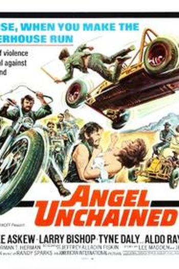 Poster de Filme Hell's Angels Unchained (1971)