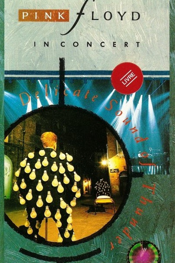  de TV Pink Floyd: Delicate Sound Of Thunder (1988)