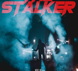 The Stalker