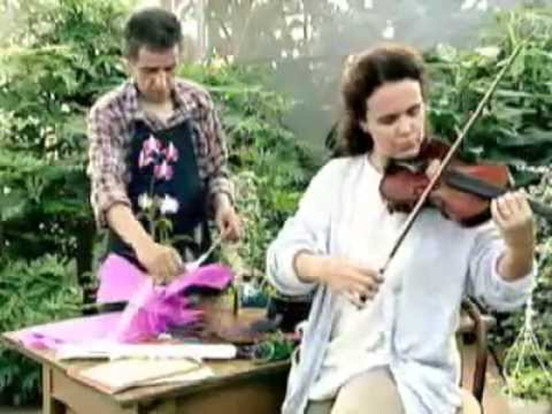 Foto 1 de O Bochecha