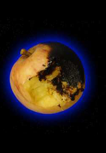 Rymdreglage: Fruits (Rymdreglage: Fruits)