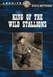 Fúria Negra ((King of the Wild Stallions))