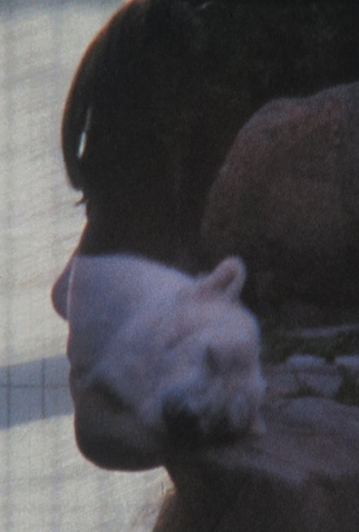 Poster 1 de Curta Denkbilder (2013)