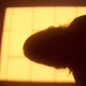 Foto de perfil de bruna rodrigues