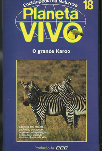 Planeta Vivo - O Grande Karoo - Poster / Capa / Cartaz - Oficial 1