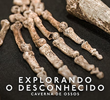 Explorando o Desconhecido: Caverna de Ossos