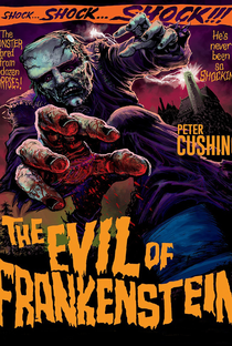 O Monstro de Frankenstein - Poster / Capa / Cartaz - Oficial 8