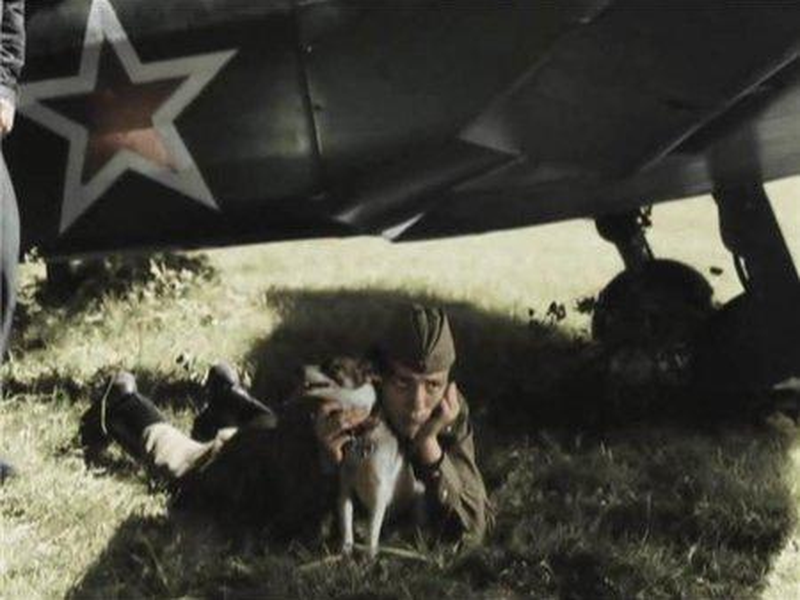 Foto 4 de Only Old Men Are Going to Battle