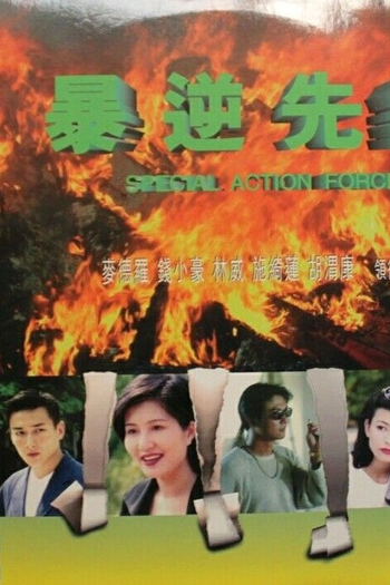 Poster de Filme Special Action Force (1997)