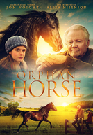 Orphan Horse