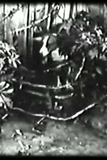  de Curta O maestro (1925)