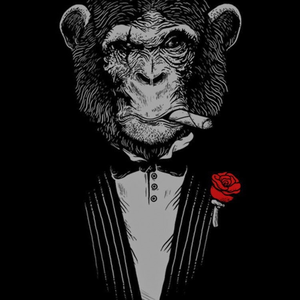 Foto de perfil de Leo Prado