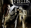 Dark Fields