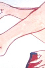 Psychoderche (Psychoderche)