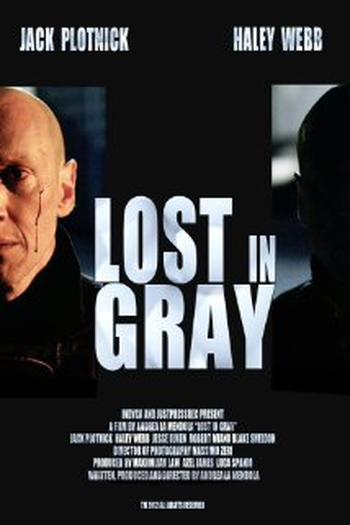 Poster de Curta Lost in Gray (2014)