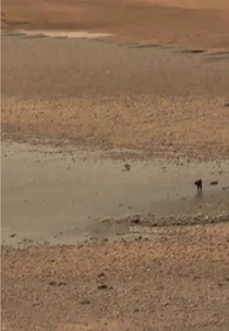 Distance-Landscape: Meeting Between Men (Paisaje-Distancia: Encuentro entre hombres)