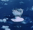 The Atomic Ghost Fleet
