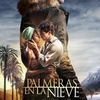 Dica de Filme : Palmeiras na Neve