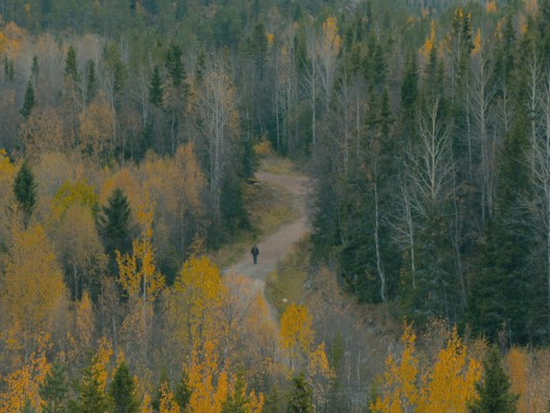 Foto 4 de Uma Vida Longa e Feliz