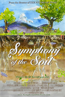 Sinfonia do Solo - Poster / Capa / Cartaz - Oficial 1