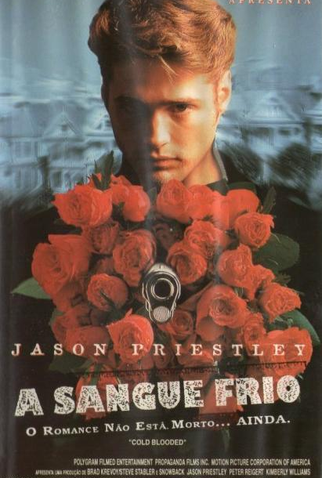 Poster 2 de Filme A Sangue Frio (1995)