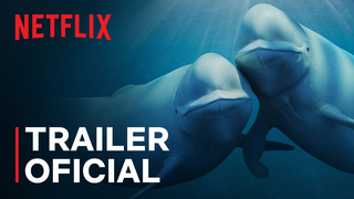 Trailer: Nossos Oceanos | Barack Obama | Trailer oficial | Netflix