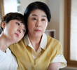 10회