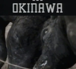 Bullfight in Okinawa