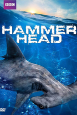 The BBC: Natural World - Hammerhead (The BBC: Natural World - Hammerhead)