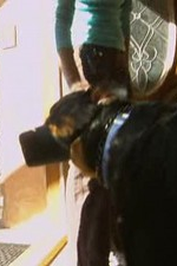 Poster de Episódio Titan, Candy, and Bella (2007)