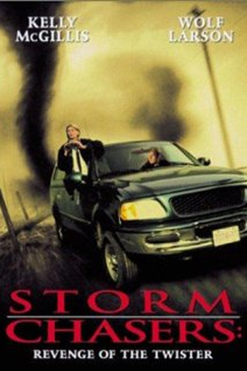 Poster de Filme A Revanche do Tornado (1998)