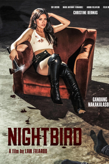 Poster de Filme Nightbird (2023)