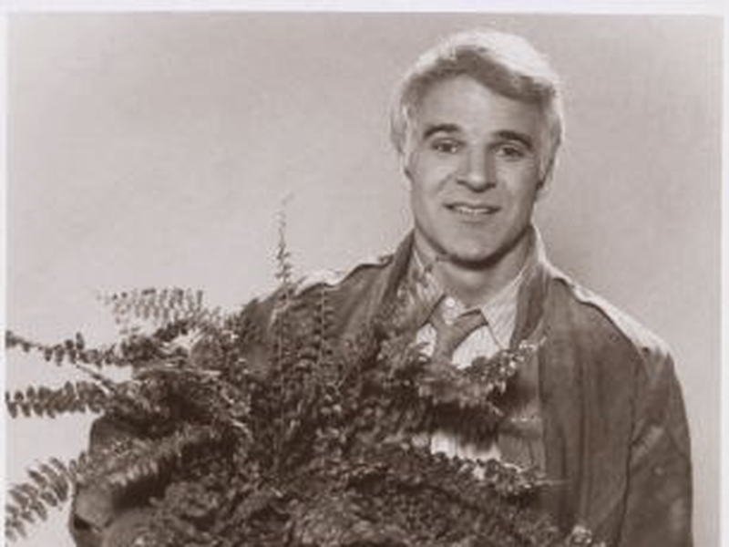 Foto 1 de Rapaz Solitário