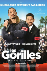 Falha de Segurança (Les Gorilles)