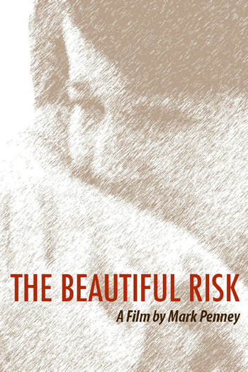 Poster de Filme The Beautiful Risk (2013)